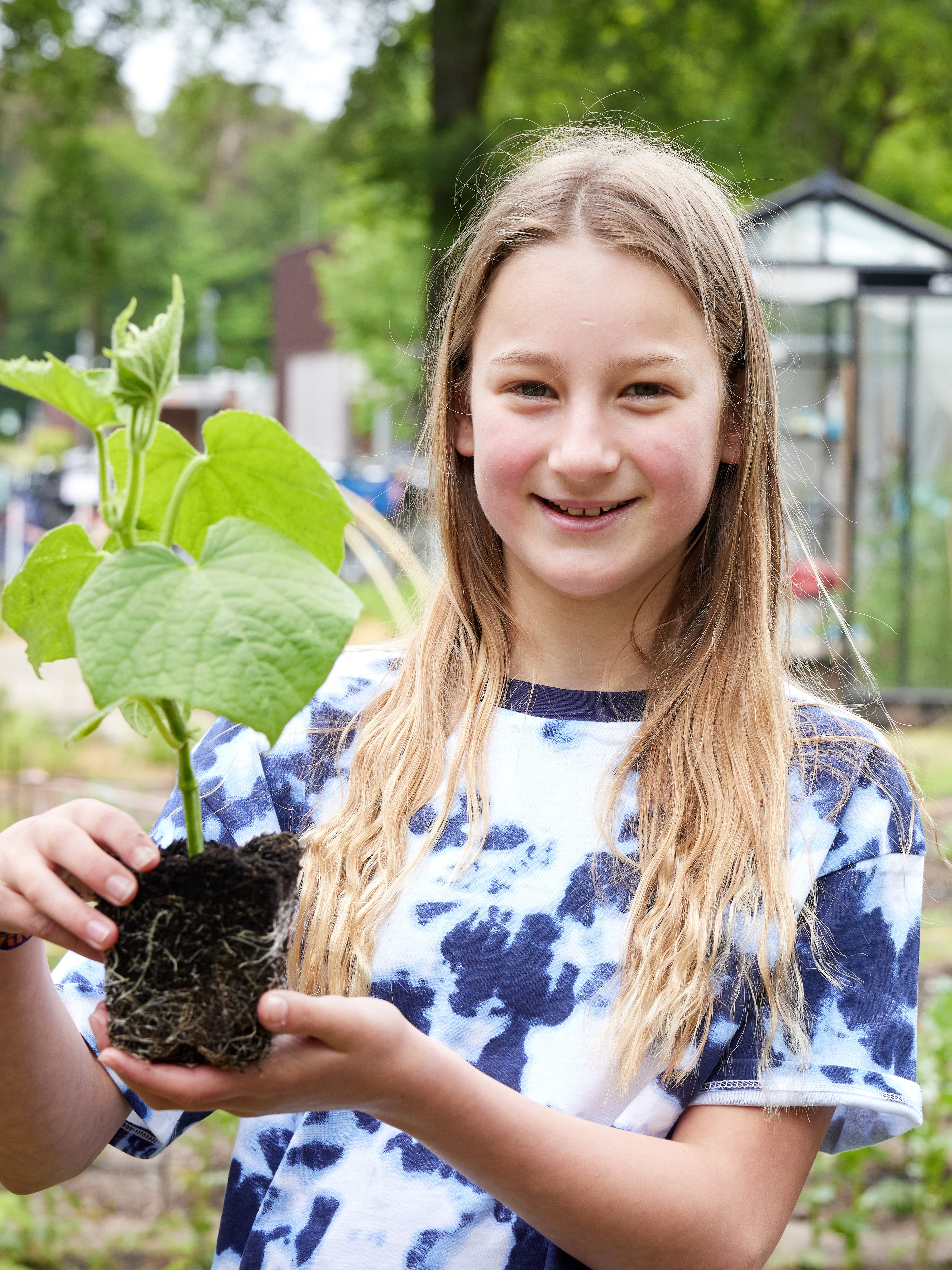 Gezonde School - Procestool backend